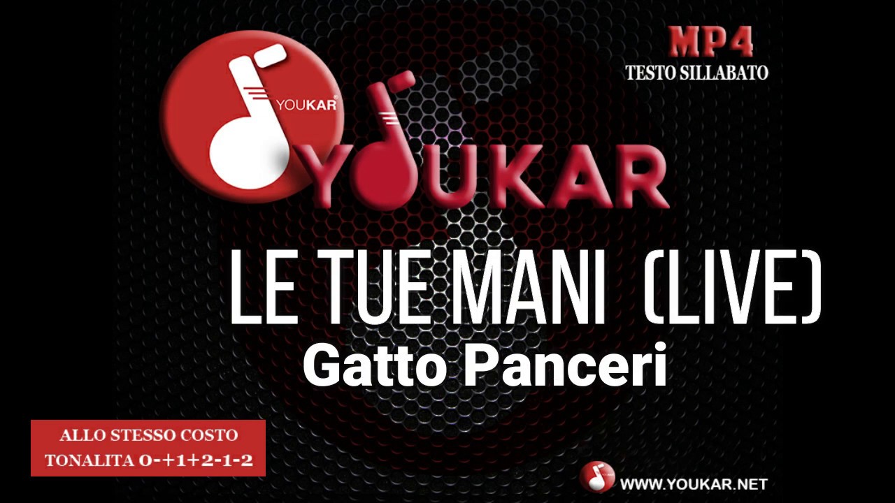 Gatto Panceri Le Tue Mani