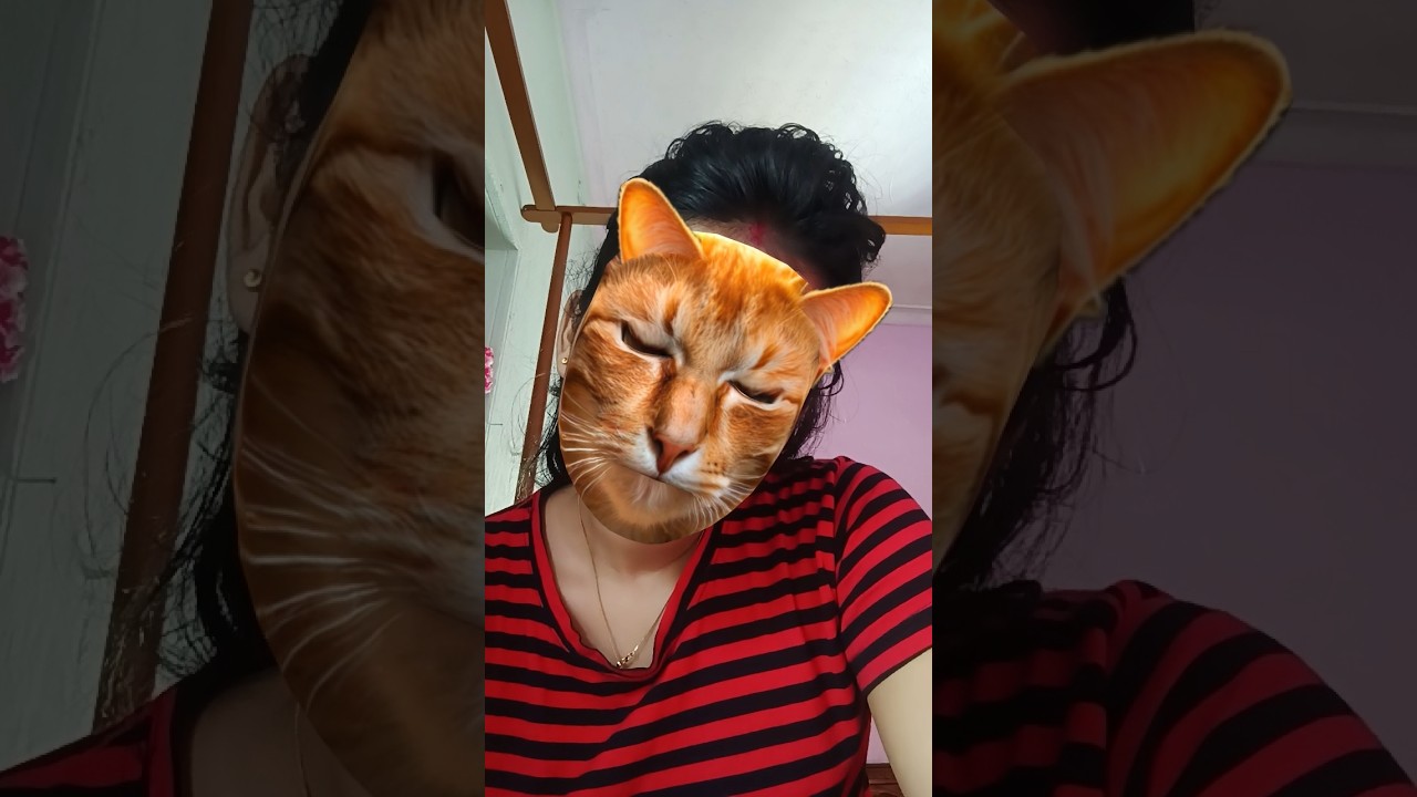 বিল্লু মইরা গেছে 😺😺🤣🤣🤪