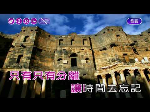 只有分離~黃鶯鶯~女Gm調~伴奏導唱(甲)