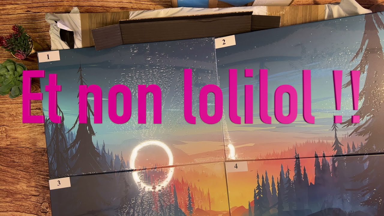 Encore une sponso ?! Displate Unboxing et Montage YouTube