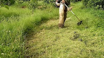 Tiện ích nhà nông _ đánh cỏ mần trầu già với cước pháp 3,5 ly