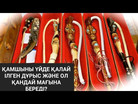 Бейне: Омыртқалы қабырғалардың мағынасы қандай?