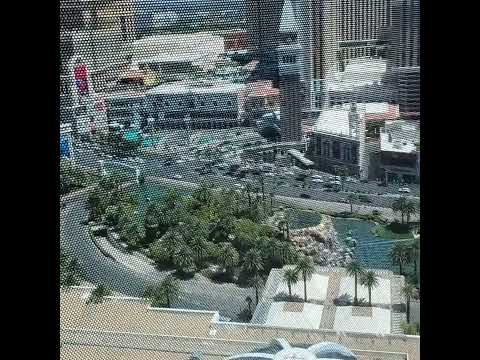Las Vegas Strip View