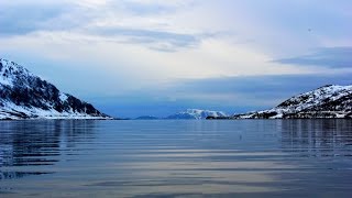 РЫБАЛКА И ПОДВОДНАЯ ОХОТА В НОРВЕГИИ.Wild Fishing Norway