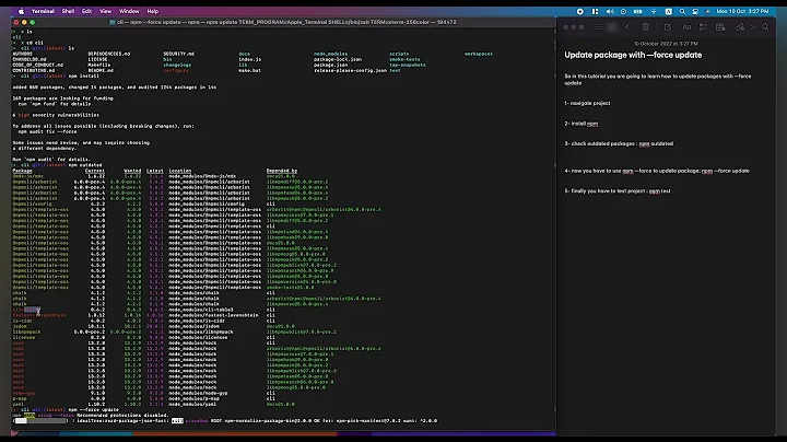 NPM: Use npm --force update / To update packages