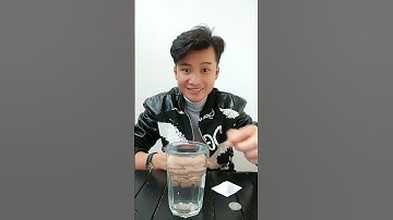 thử hiện tượng đồng xu nổi trên mặt nước #conglamthu #thunghiem #magic #lifehacks #experiment