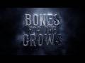 Nickelback Bones For The Crows Official Lyric Video 