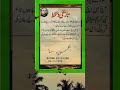Powerfull Quotes for Everyone || it's a amazing quotes || Tareekhi signature || 😈 #shorts #trending