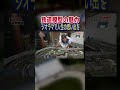 【ノスタルジー】笠松の街並みや名古屋球場…。人生の思い出をジオラマで形に！ #nゲージ #ジオラマ【おとなの秘密基地】