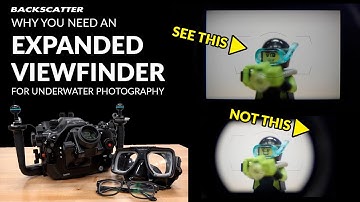 Why You Need an Expanded Viewfinder for Underwater Photography