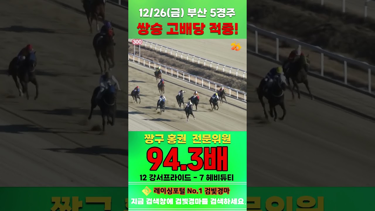 [부산 경마] 12월 26일 금요 5경주 짱구 홍권 전문위원 쌍승 고배당 적중 #한국마사회 #horse #경마 #automobile #하이라이트 #비트코인