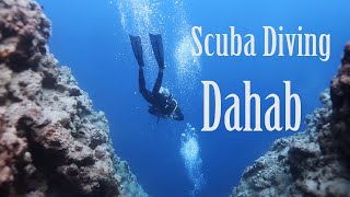 Scuba Diving - Dahab [2024]