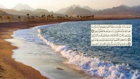 281-page سعد الغامدي - -سورة النحل -Les abeilles (An-Nahl) 16