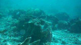 DSCF8332.AVI