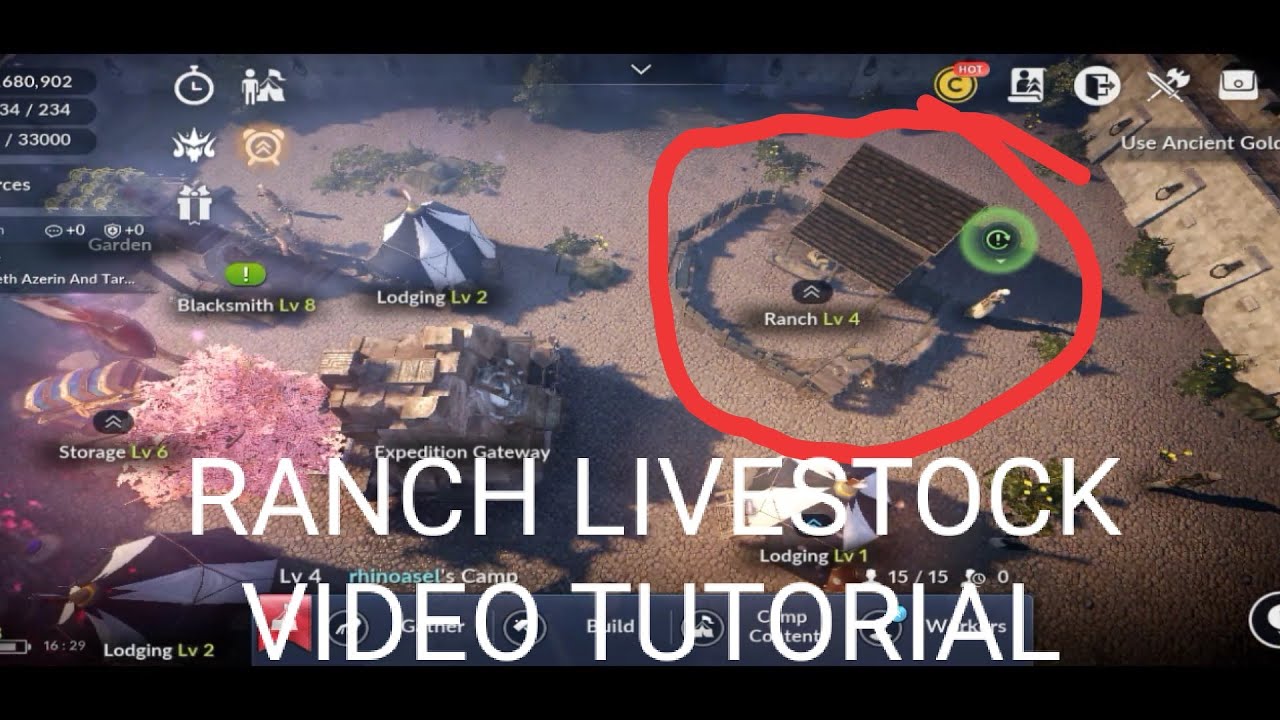 Black Desert Mobile How To Make Livestock On your Ranch Tutorial