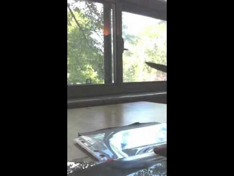 how to create 4 x 6 pockets from page protectors for coupons youtube coupon protector sheets