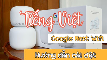 Hướng dẫn cài đặt Google Nest Wifi - tiếng Việt