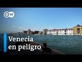 Venecia, amenazada por el agua