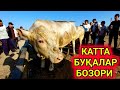 ХОРАЗМ МОЛ БОЗОРИ КАТТА БУҚАЛАР БОЗОРИ. 14-августа 2022 г.