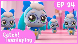 [KidsPang] Catch! TeeniepingEp.24 DADAPING IS EVERYWHERE