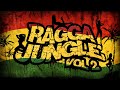 RAGGA JUNGLE vol. 2 - Drum n Bass Mix