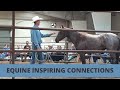 EQUINE INSPIRING CONNECTIONS