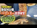 주말농장에서 야생두릅을 채취해 삽겹살을 먹다