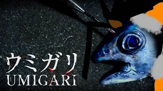 【umigari】Part 1 - what are these strange fish?