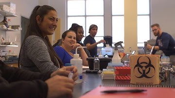 Biology at Ohio Dominican University