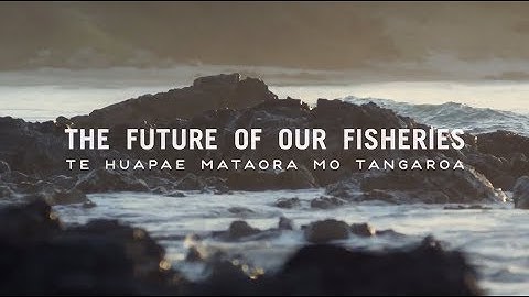 Digital monitoring of commercial fishing