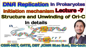 Prokaryotes DNA Replication mechanism ( lecture -7) - structure of Ori c and Initiator protein