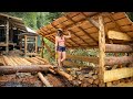 WILDERNESS LIVING // ALONE & GARDENING OFF GRID - One Year of FIREWOOD | Can Our Dogs Swim - Ep. 88