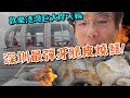 【深圳南山】歡樂港灣玩深圳版本London Eye!🎡！獅子三食最彈牙脆皮炭燒活鱔🪱! CoCo Park 年宵市集🎪!