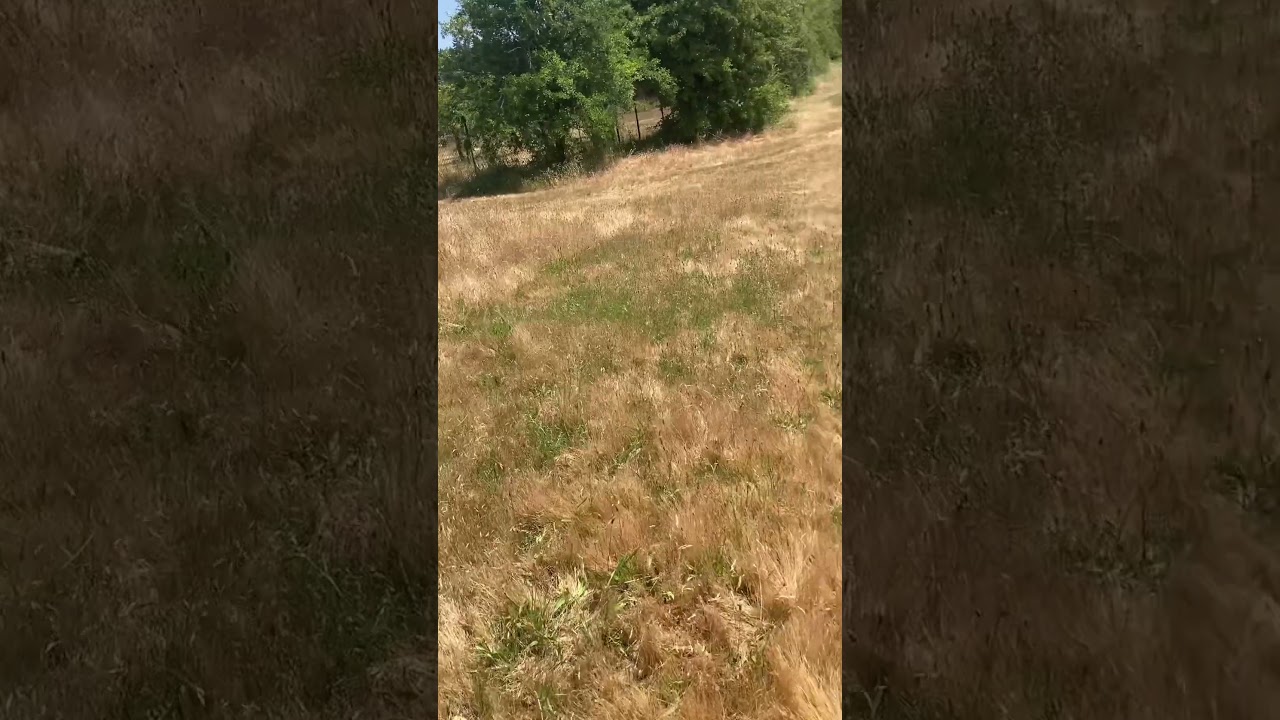 Humming the Old Twentieth Century Fox Fanfare👍🏿👍🏿👍🏿👍🏿👍🏿