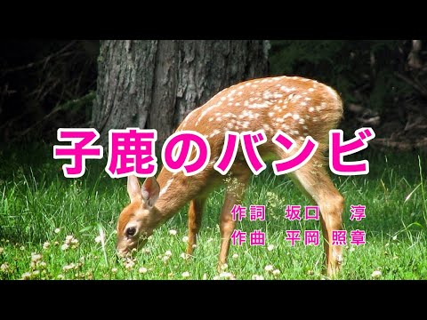 Traditional Japanese Songs｜Kojika no Banbi “Bambi the Fawn