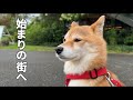 福ちゃんとの新たな生活に選んだのはこの街でした