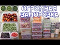 ГЛОБАЛЬНАЯ ЗАМОРОЗКА ОВОЩЕЙ И ФРУКТОВ НА ЗИМУ! КАК ПРАВИЛЬНО ПОДГОТОВИТЬ ПРОДУКТЫ К ЗАМОРОЗКЕ?