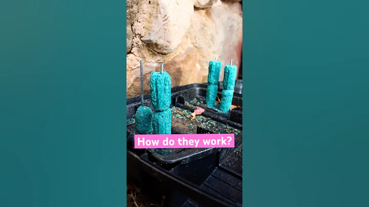 Bait Stations for Mice work SO WELL 🐁