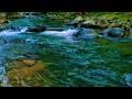 🌊 The Only River Ambient Loop You Need for Anxiety, 8 Hours of Pure Peaceful Sleep Experience