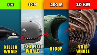 Whale Species and Monsters Sizes Ranked