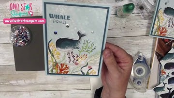 Two Super Cute Cards Made with the Whale Done Stampin’ Up! Bundle