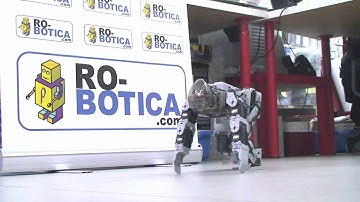 Ro-botica, robots educatius i de hobby / Biolid premmium kit marxa 2 로봇