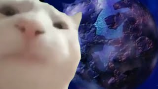 Cat Vibing to Spacetoon Planet Aksi