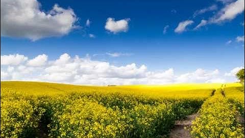 سورة الأعراف / للقارئ : محمود علي البنا - Quran (MP3) Surat Al Araf