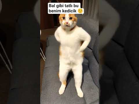Bal gibi olmuş