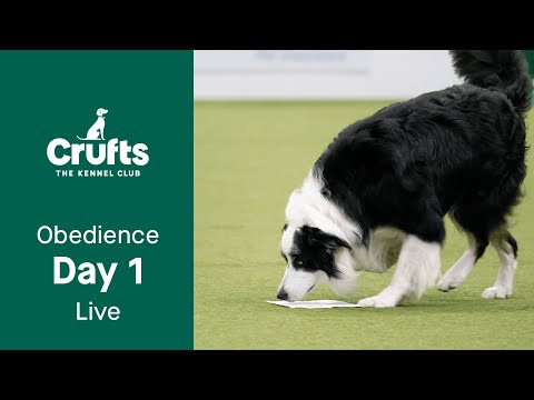 Obedience Day 1 LIVE | Inter-Regional Rally Competition | Crufts 2023