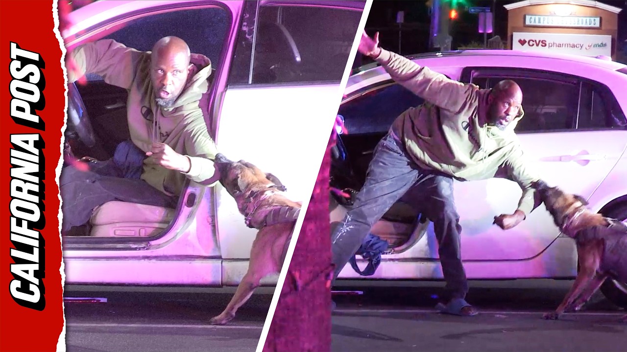 San Bernardino Police K-9 Vigorously Pulls Suspect From Vehicle During Standoff