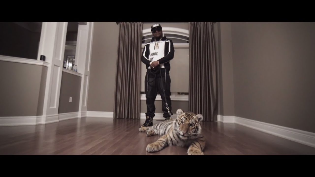 Harvey Stripes - Blanco [Official Video]