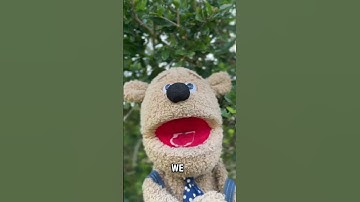 Day:10 of me shouting out MrBeast until I get 10k Subscribers  #comment #puppet #fup #mrbeast #10k