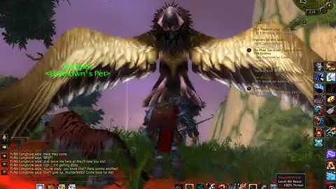 Wow mists of pandaria: kickin pandas and sad pandas